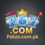 P67 Game